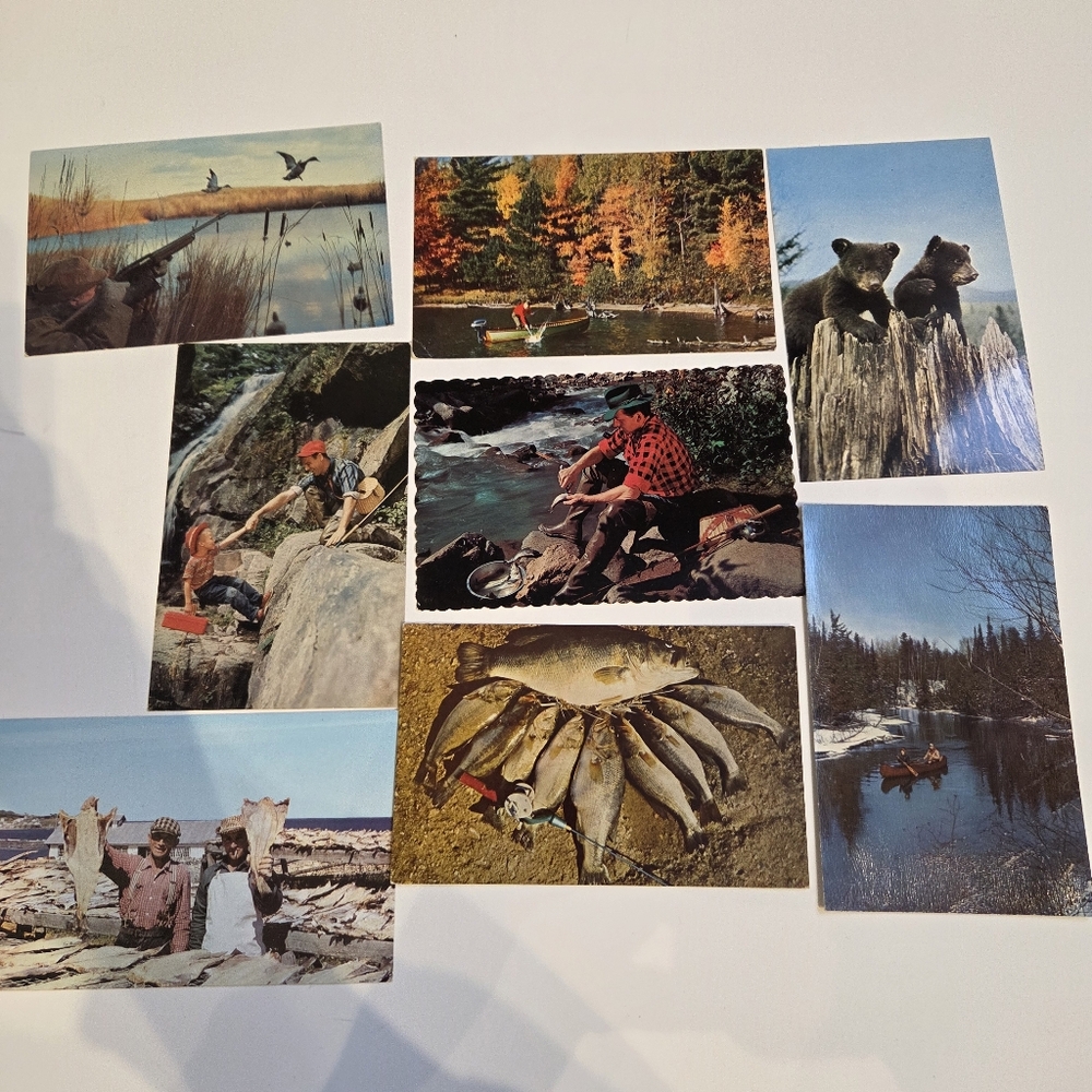 Lot Of 8 Fishing And Hunting Themed Vintage Postcards